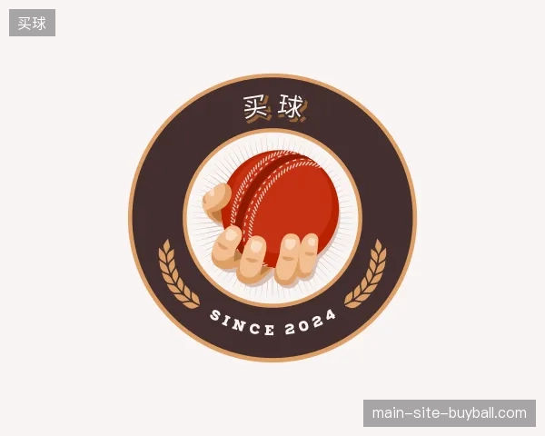 解读买球官方网站